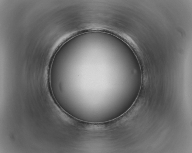 X0000114161183200910221601