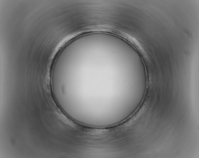 X0000114161184200910221601