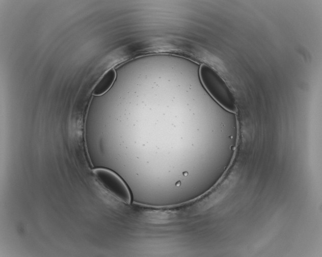 X0000114161185200910221601