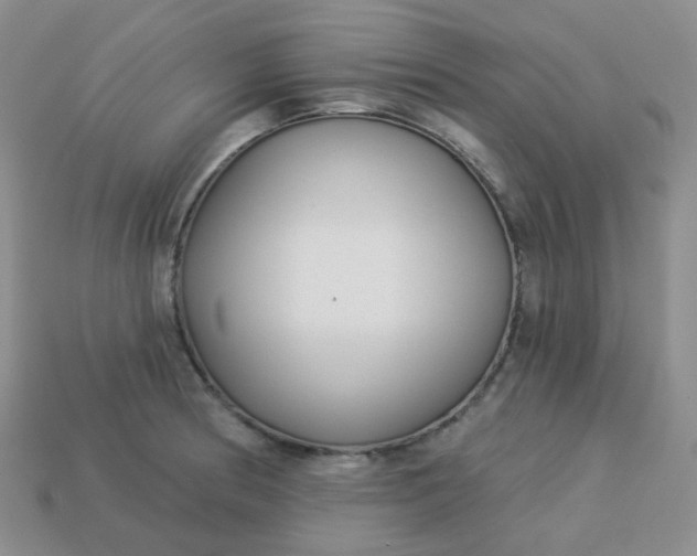 X0000114161186200910221601