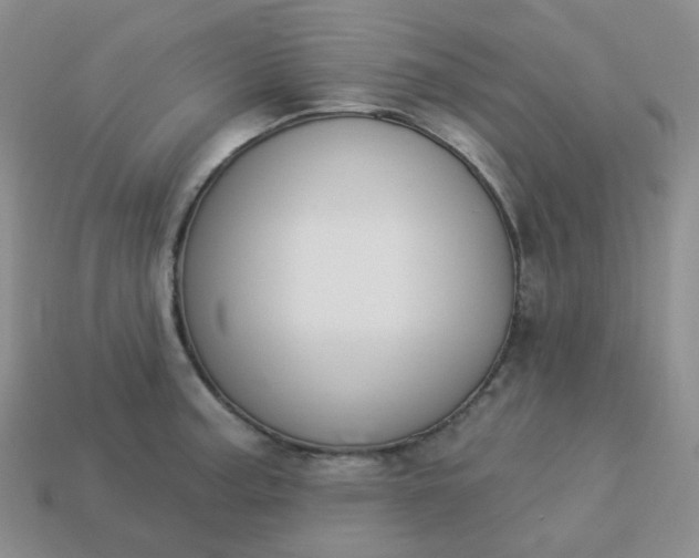 X0000114161187200910221601