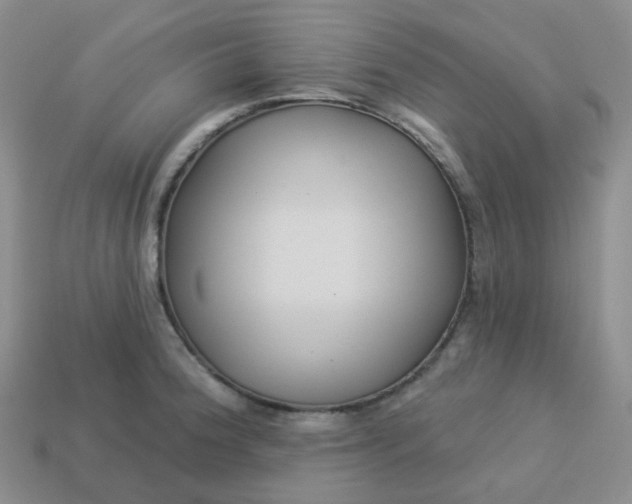 X0000114161188200910221601