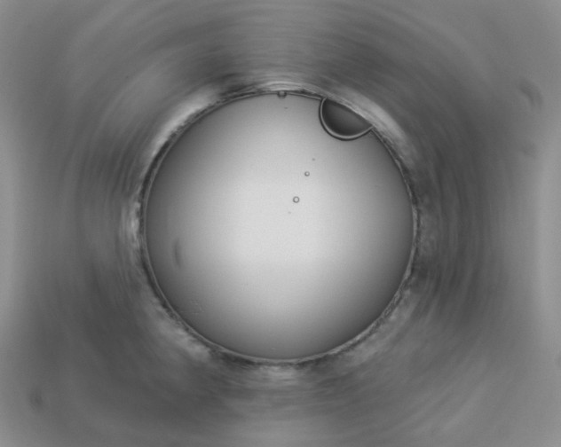 X0000114161190200910221601