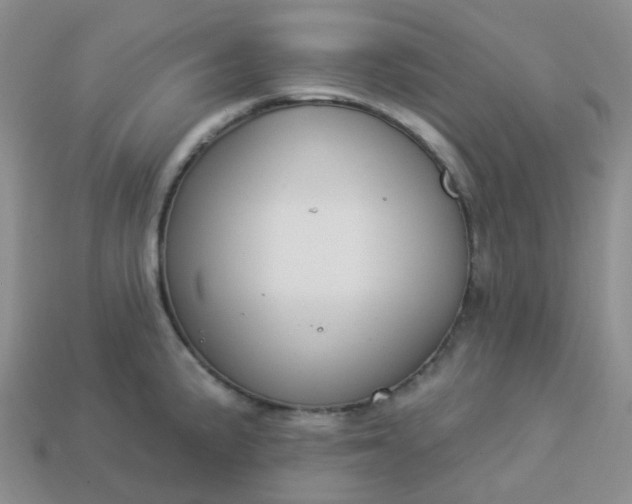 X0000114161191200910221601