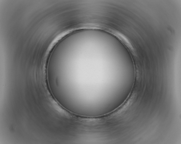 X0000114161192200910221601