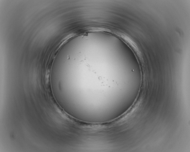 X0000114161193200910221601