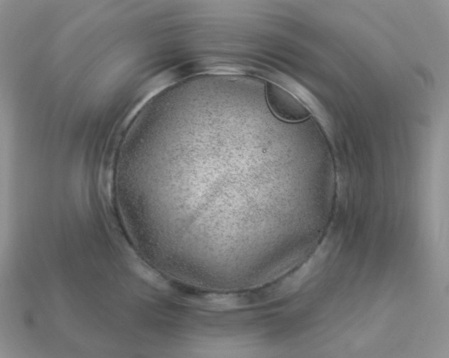 X0000114161194200910221601