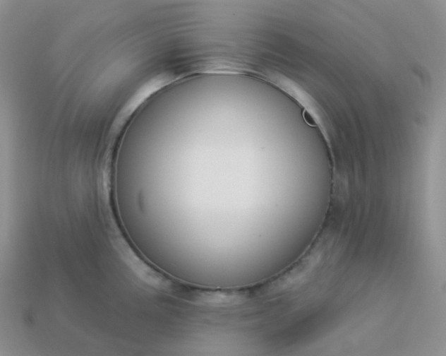 X0000114161195200910221601