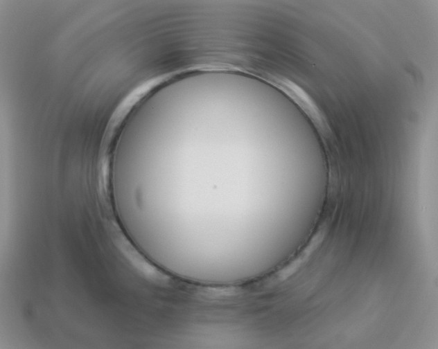 X0000114161196200910221601