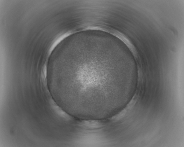 X0000114161198200910221601