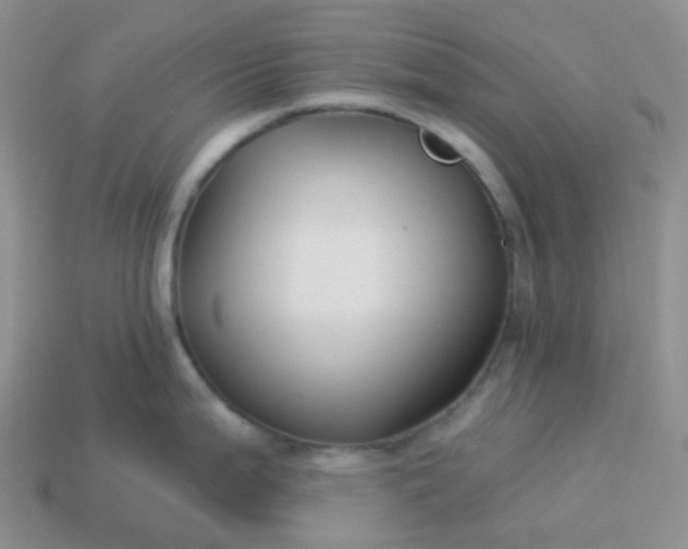 X0000114161199200910221601