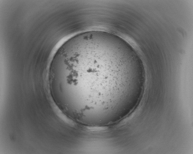 X0000114161200200910221601