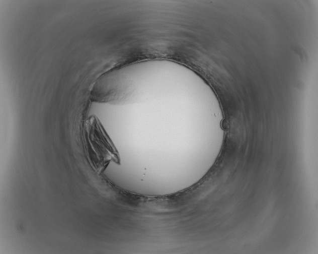 X0000114161201200910221600