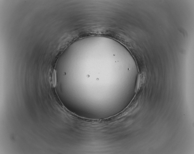 X0000114161202200910221600