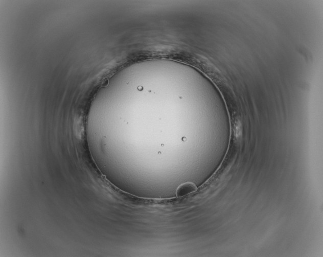 X0000114161204200910221600