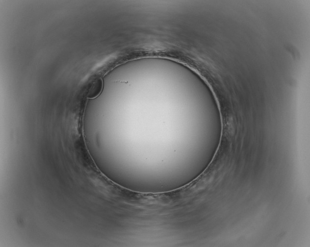 X0000114161205200910221600