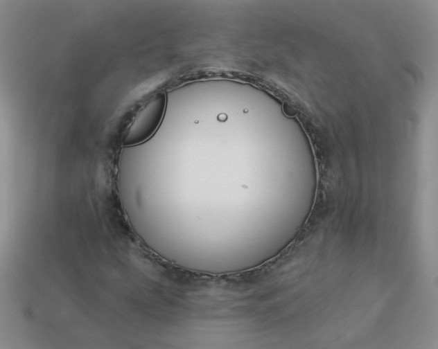 X0000114161207200910221600