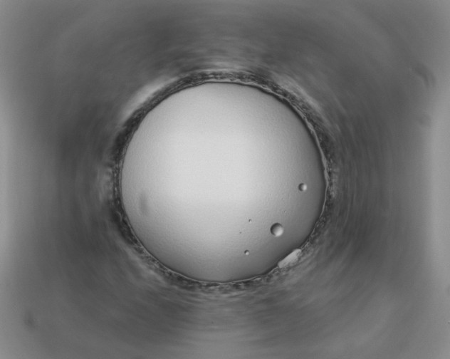 X0000114161208200910221600