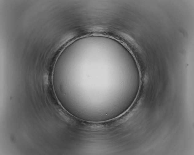 X0000114161209200910221600