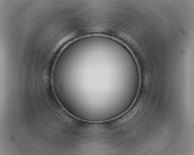 X0000114161210200910221600