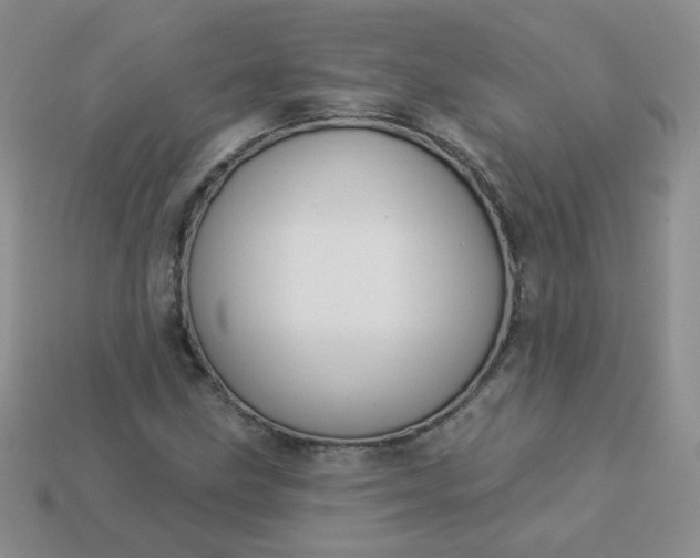 X0000114161211200910221600