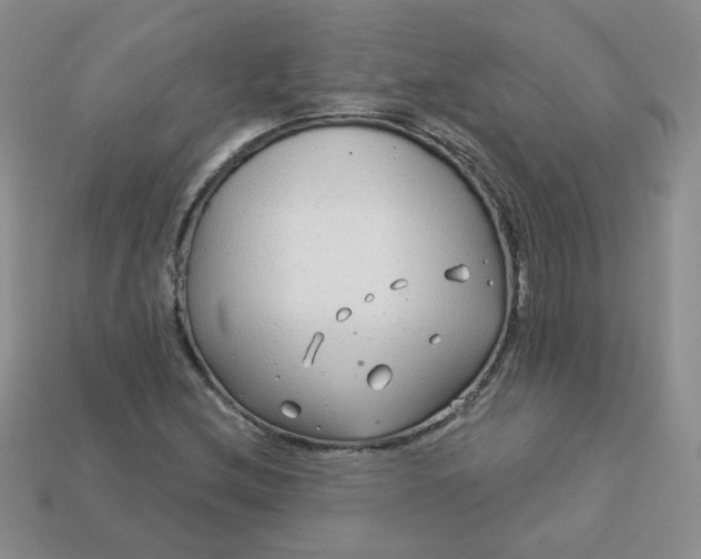 X0000114161212200910221600