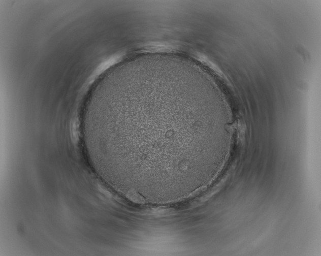 X0000114161213200910221601