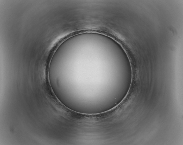 X0000114161214200910221601