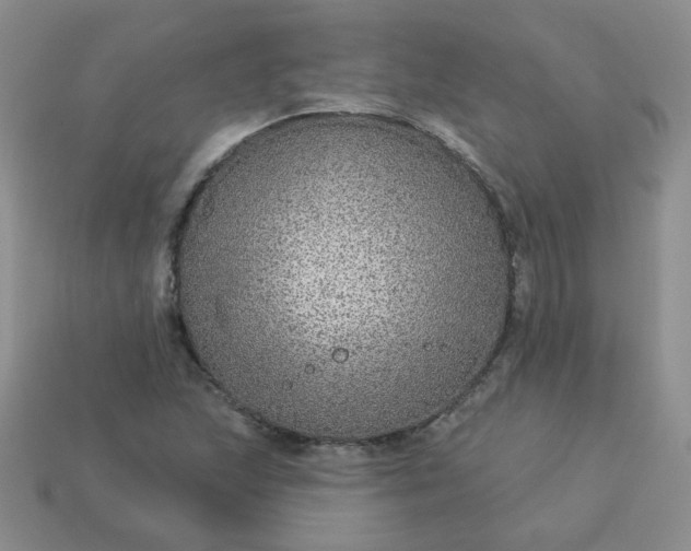 X0000114161215200910221601