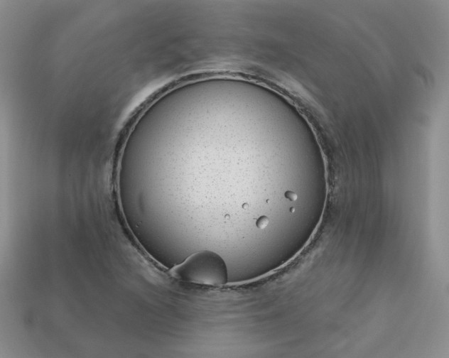 X0000114161216200910221601