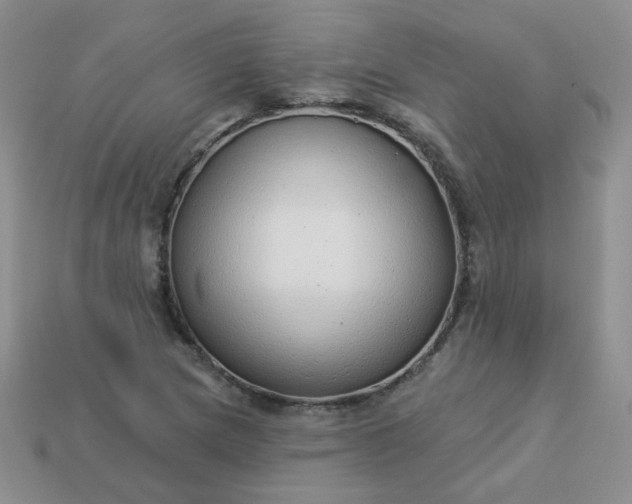 X0000114161217200910221601