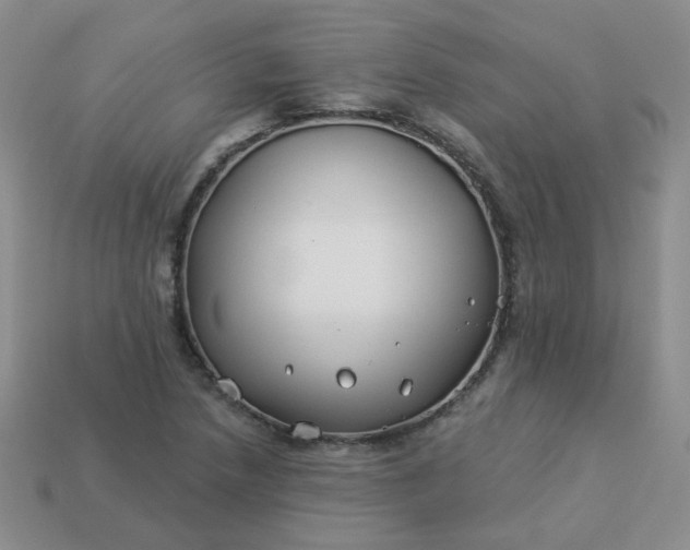 X0000114161218200910221601