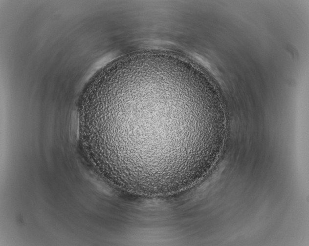 X0000114161219200910221601