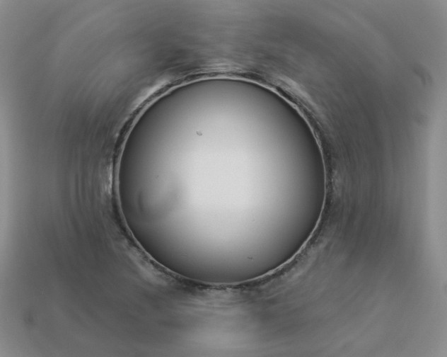 X0000114161220200910221601