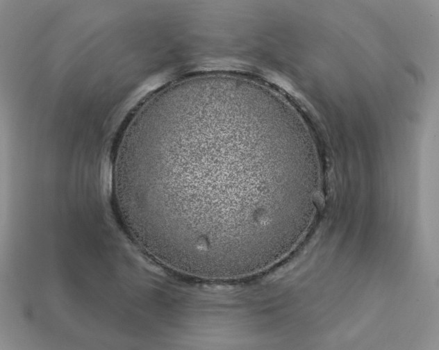 X0000114161221200910221601