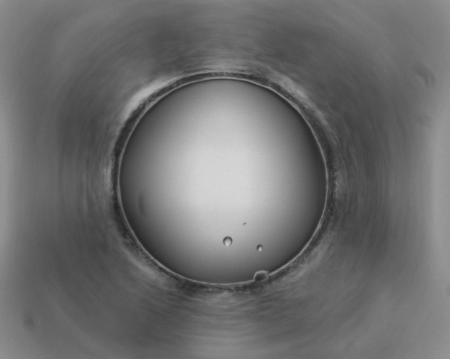 X0000114161222200910221601