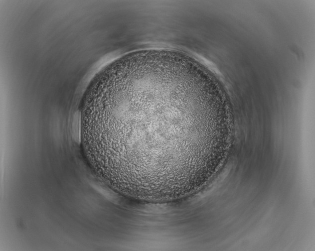 X0000114161223200910221601