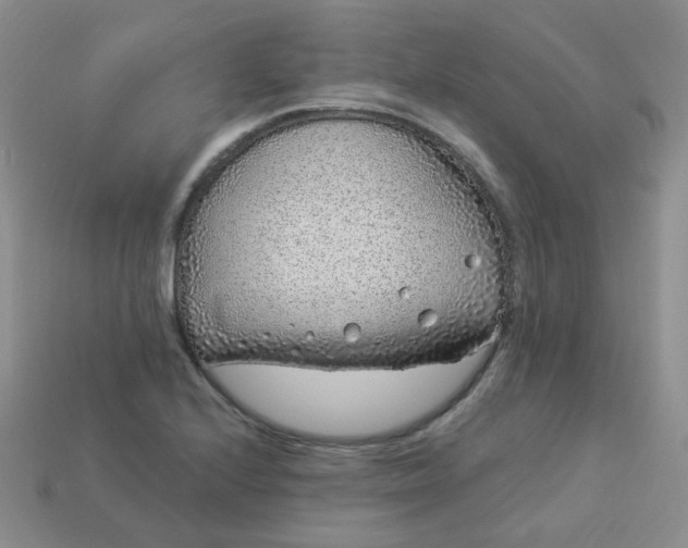 X0000114161224200910221601