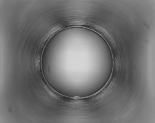 X0000114161225200910221601