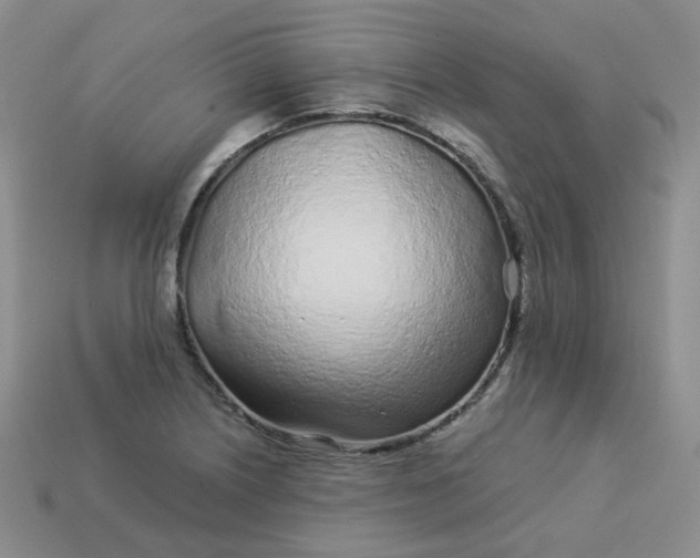 X0000114161226200910221601