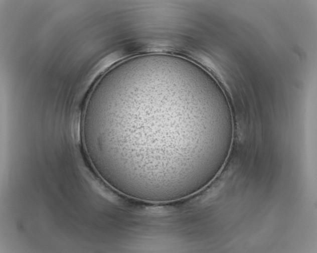 X0000114161227200910221601