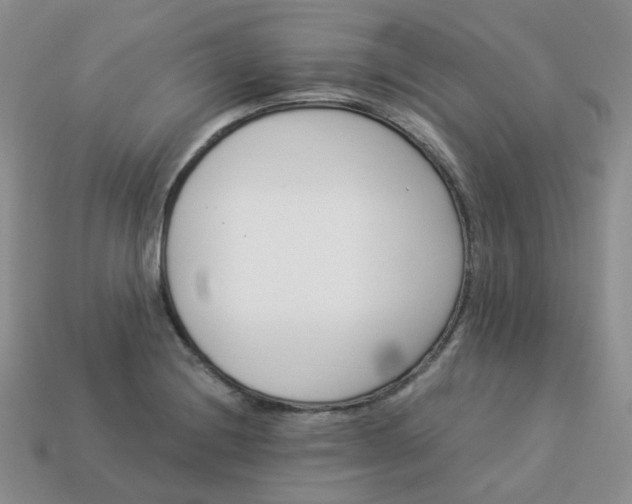 X0000114161228200910221601