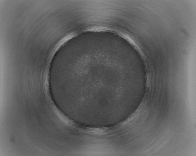 X0000114161229200910221601