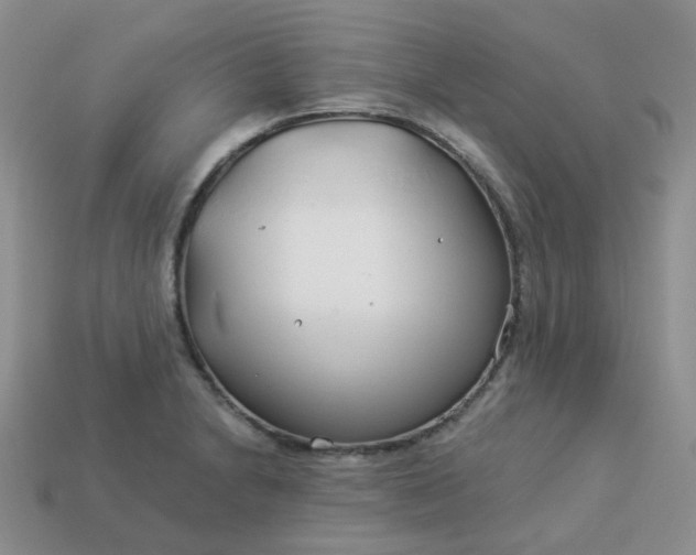 X0000114161230200910221601