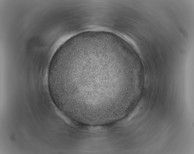 X0000114161231200910221601