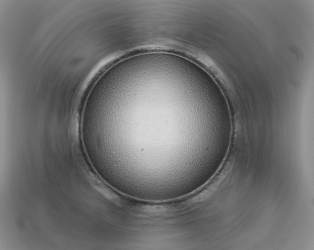 X0000114161232200910221601