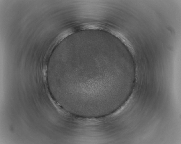 X0000114161233200910221601