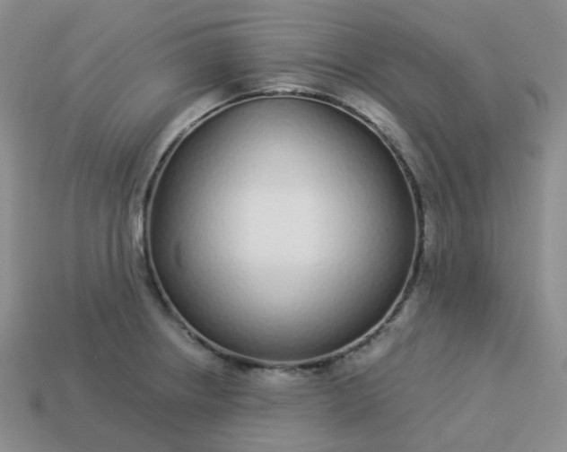 X0000114161234200910221601