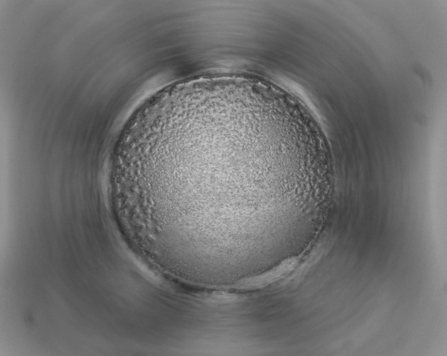 X0000114161235200910221601