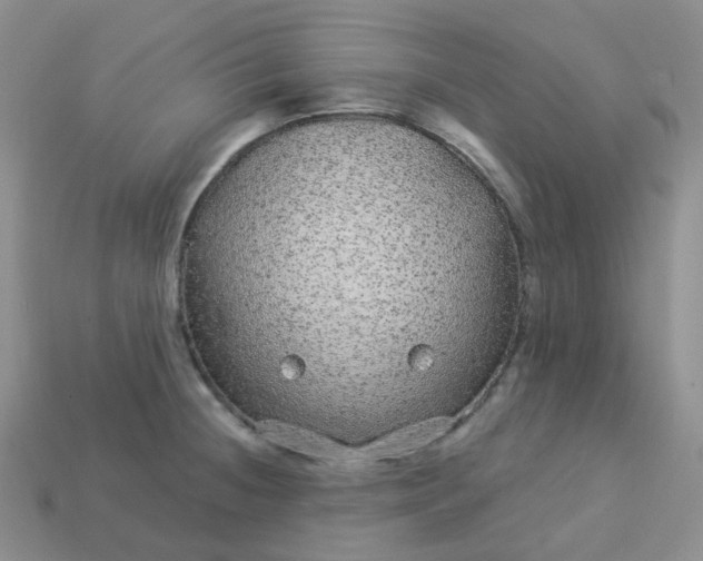 X0000114161236200910221601